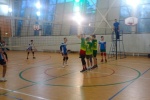 Волейболисты из Сосенского поселения представили ТиНАО на городских соревнованиях 