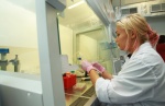 В Москве частные лаборатории будут исследовать тесты на COVID-19  