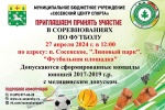 В Липовом парке пройдет футбольный турнир