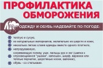 В администрации Сосенского напомнили, что необходимо делать при обморожении