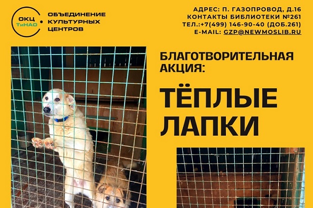 Библиотека №261 приглашает принять участие в благотворительной акции для  животных из приюта