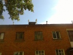 Муниципальную квартиру отремонтировали в Сосенском