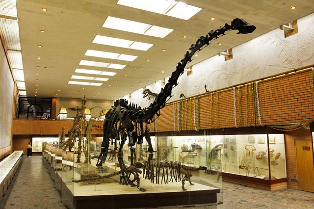 Сосенцев приглашают познакомиться с новым экспонатом Палеонтологического музея