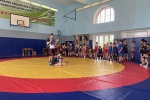 Сосенский центр спорта организует турнир по вольной борьбе 