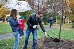 В ТиНАО высадить дерево в честь рождения ребенка можно в Ульяновском лесопарке