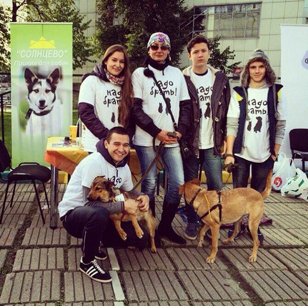 В благотворительной акции в честь Дня защиты животных принял участие член Молодежной палаты Сосенского поселения