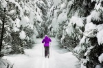 Жители Сосенского смогут поучаствовать в открытых лыжных тренировках