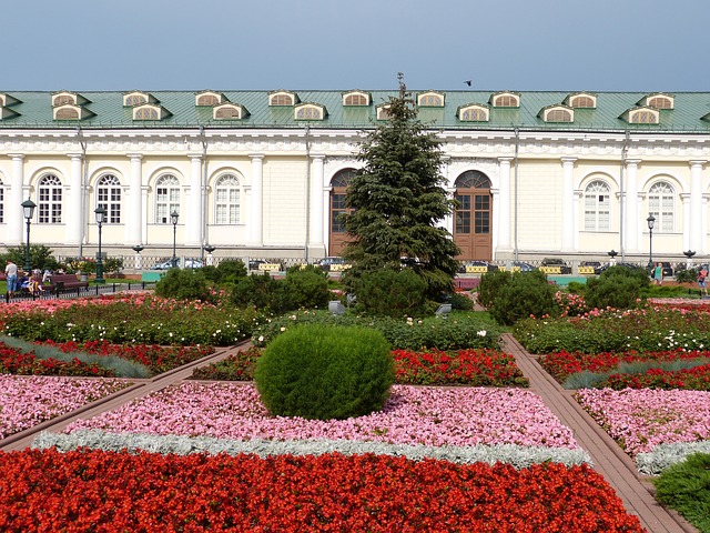 Центр Москвы начал покрываться цветами