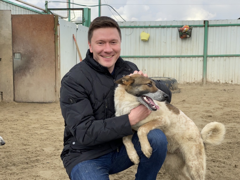 Александр Козлов: Новый раздел портала «Наш город» поможет развивать ответственное отношение к животным