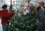 На территории поселения Сосенское можно будет приобрести новогоднюю елку