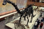 Школьники из Сосенского сходили в гости к динозаврам