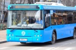 Расписание автобуса № 964 из ТЦ МЕГА меняется в праздничные дни