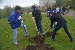 В Москве высадили деревья и кустарники на «Моей улице»
