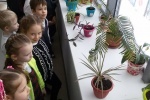 Первоклассники Сосенского узнали много нового о растениях