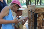 Интеллектуально-спортивный квест организуют для детей в ЖК «ЭкоБунино»