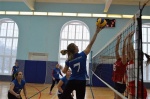 Волейбольный турнир состоялся в Сосенском