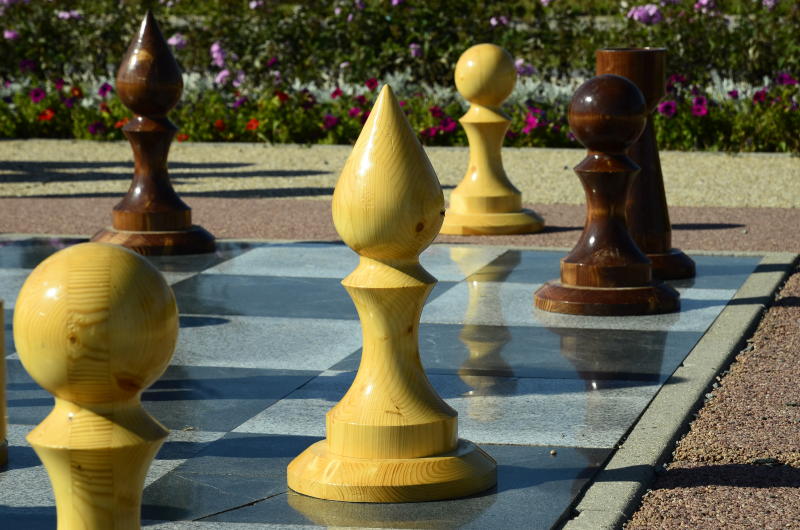 Международный день шахмат в Москве посетили 60 тыс человек