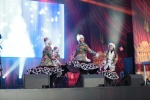 Коллективы из Сосенского поучаствовали в праздничном концерте