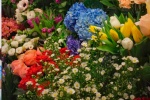 Цветочный базар заработал в «Эрмитаже»