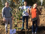 Молодые парламентарии Сосенского приняли участие в окружной акции «Мое дерево в ТиНАО»