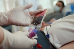 Донор плазмы крови: жителям рассказали о ряде требований для прохождения процедуры