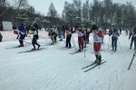 Лыжные гонки планируется провести в Сосенском 18 января