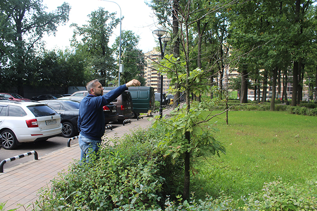 Комиссионный рейд прошел в зеленых зонах Сосенского
