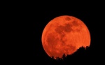 «Кровавая Луна» взойдет над Москвой