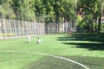 В Липовом парке заменили искусственный газон на спортплощадке
