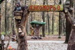 Краеведческая экскурсия по лесопарку пройдет в Николо-Хованском