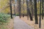 В поселении Сосенское осмотрели парки и детские площадки
