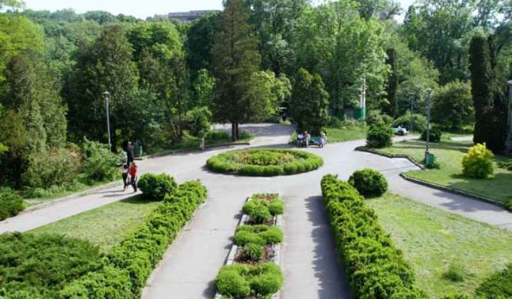 В Москве начинается высадка деревьев и кустарников на «Моей улице»