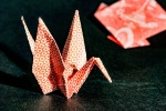 Птиц в технике оригами научат делать на мастер-классе в ЖК «Испанские кварталы» 