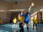Юношеская женская волейбольная команда Сосенского примут участие в играх в Красной Пахре
