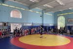 В Сосенском центре спорта состоятся соревнования по вольной борьбе в начале января