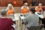 Сосенских пенсионеров приглашают на турниры по дартсу и шахматам