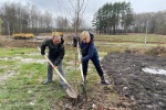 В ЖК «Москвичка» высадили молодые деревья и кустарники