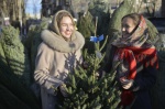 Новогодние елки можно будет сдать после праздников на утилизацию