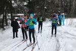 Две лыжни обустроят в Сосенском после наступления подходящей погоды