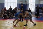 В Сосенском центре спорта состоится турнир по вольной борьбе