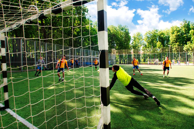 Футбольный газон в Липовом парке отремонтируют по гарантии 