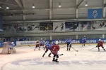 Хоккейный турнир прошел в Сосенском
