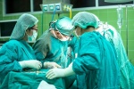 Боткинская больница осваивает трансплантологию
