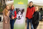 Молодежь из Сосенского проведет благотворительную ярмарку в помощь бездомным животным
