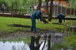 Акция «Чистый берег» стартовала в Новой Москве