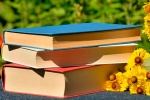Летняя библиотека заработает в Измайловском парке