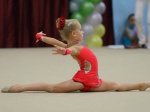 Художественная гимнастика появится в Сосенском
