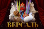 В Коммунарку едет «Версаль»