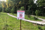 Уведомительные таблички появились в парковой зоне Сосенского